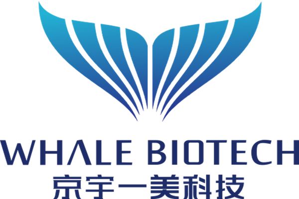 北京京宇一美-注射器活塞推力测试仪合作